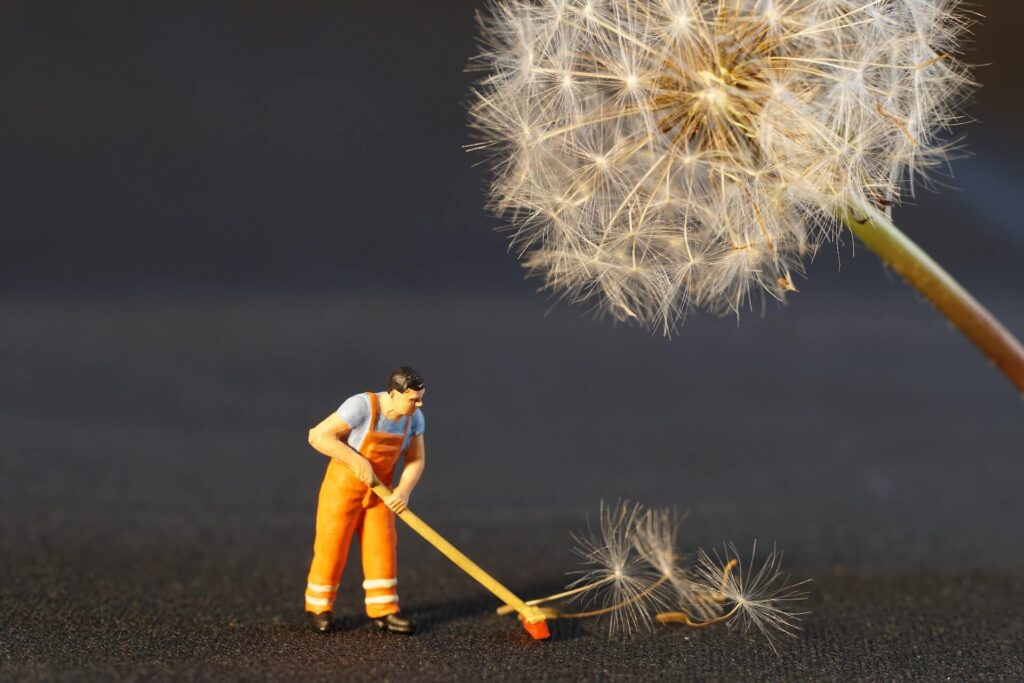 A puffball dandelion’s seeds swept by a tiny ceramic janitor