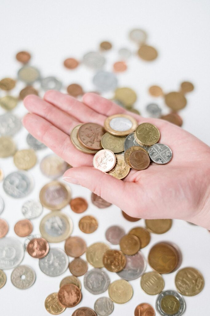 Person holding various coins