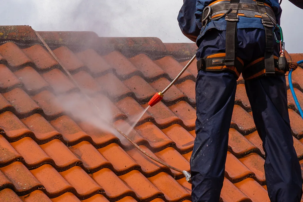 Roof moss removal in Seattle