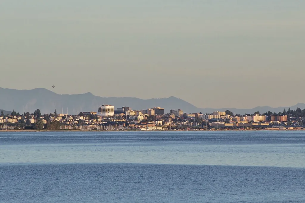 Commercial cleaning services in Everett, WA